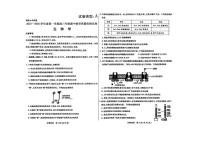 内蒙古包头市2026届高三上学期期中教学质量检测生物试卷（含答案）