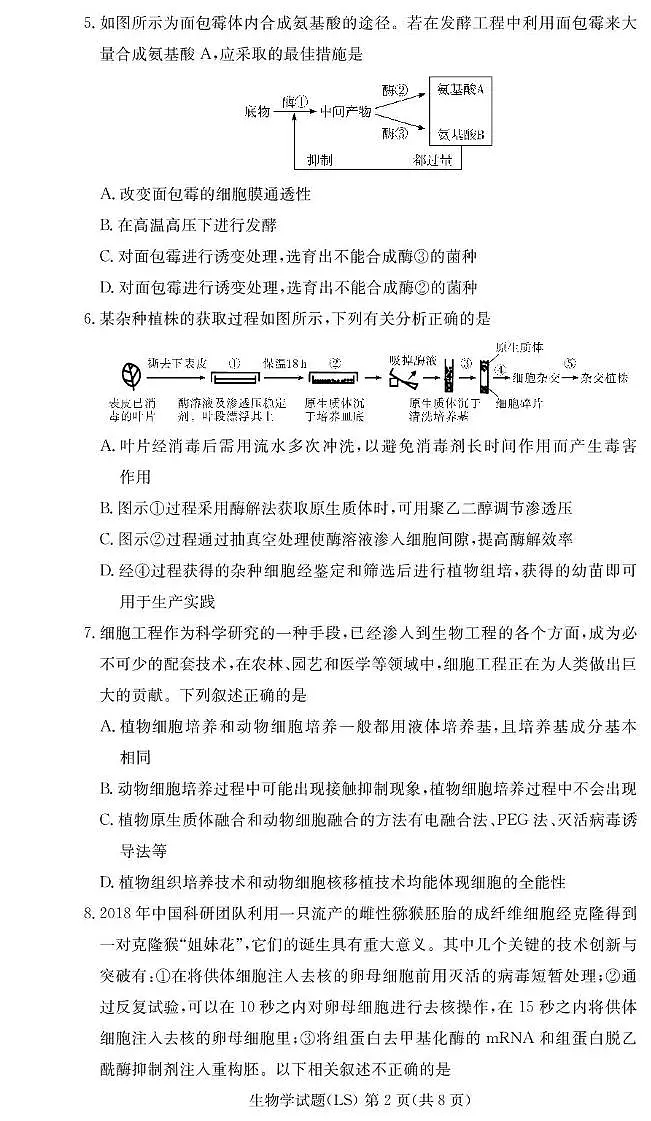 湖南省长沙市麓山国际实验学校2024-2025学年高二下学期第一次学情检测生物试卷+答案第2页