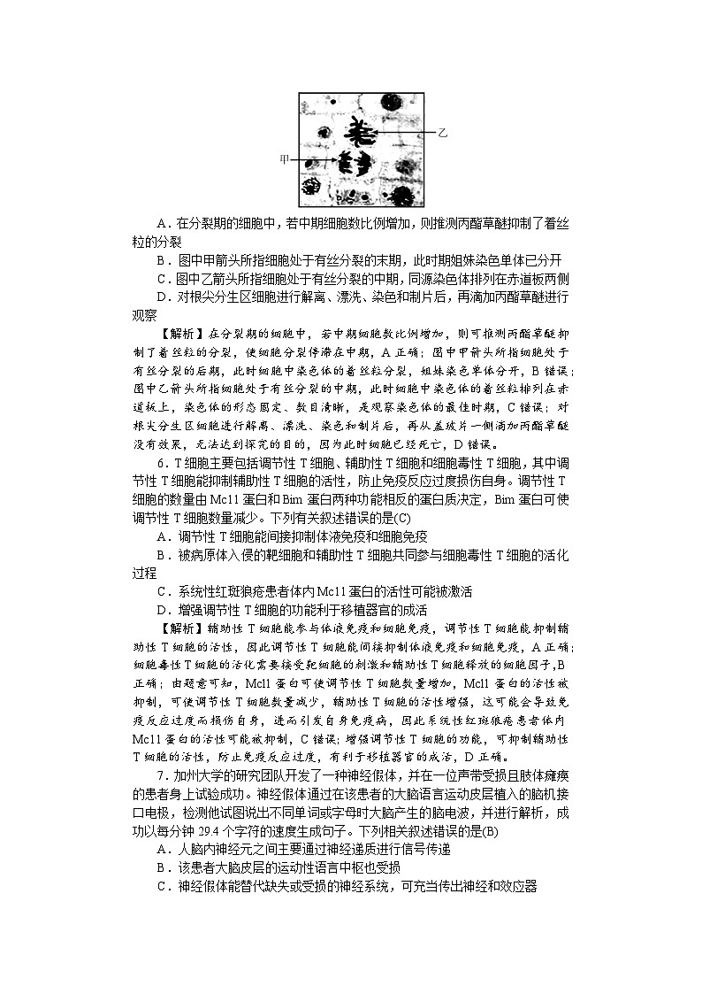 高三附中生物3——教第3页