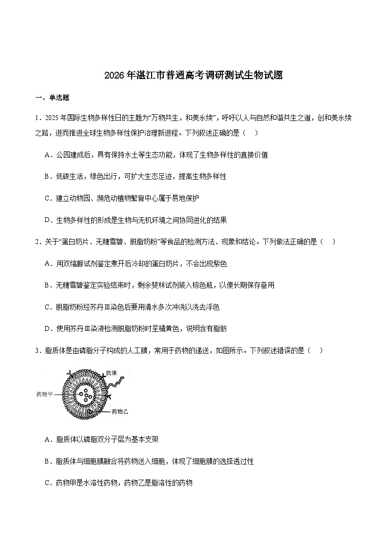 广东省湛江市2026届高三上学期10月调研测试生物试卷(含答案)第1页