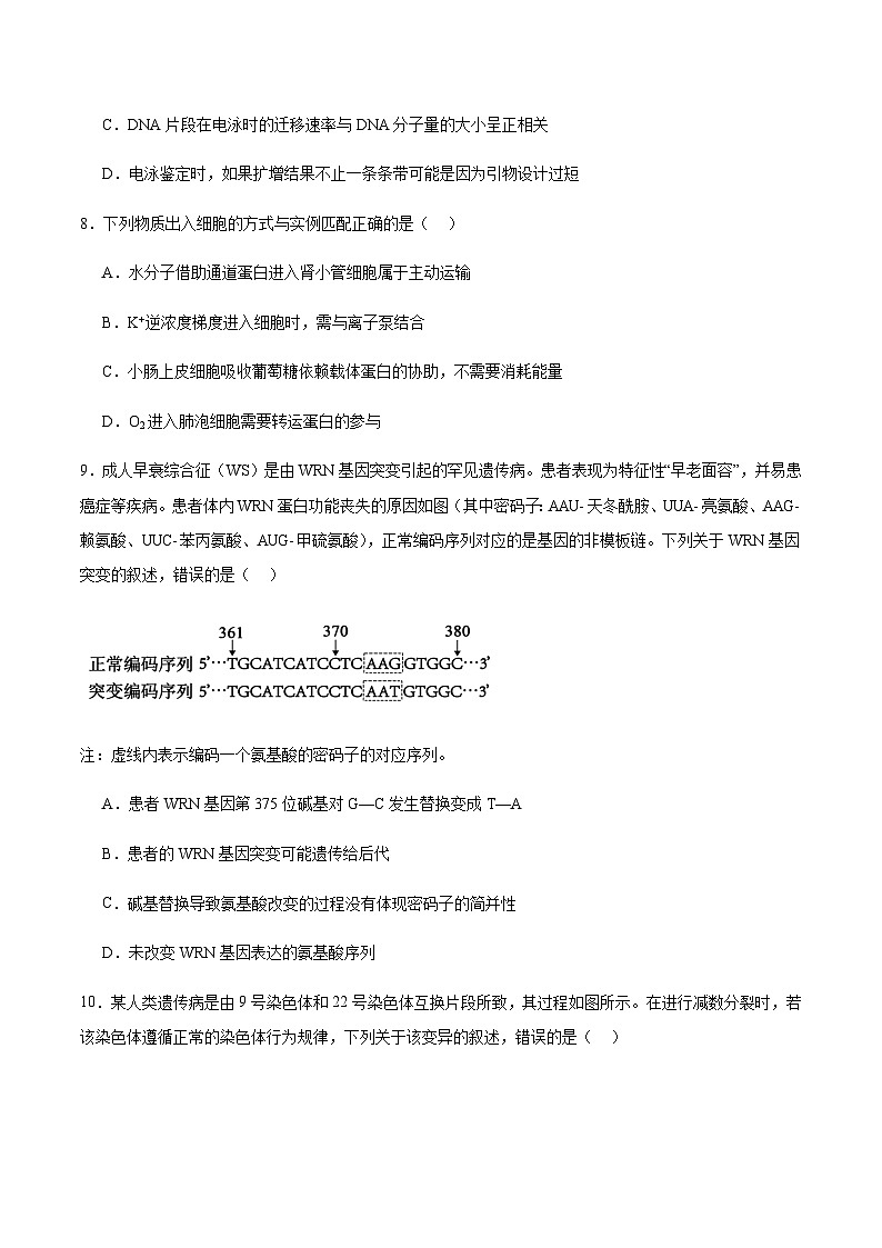 广东省湛江市2026届高三上学期10月调研测试生物试卷(含答案)第3页