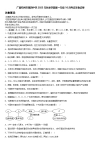 广西钦州市第四中学2025-2026学年高一上学期10月考试生物试卷（含答案）