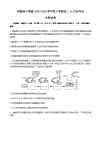 辽宁省大连市滨城高中联盟2026届高三上学期10月份月考（期中）生物试卷