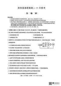 河南洛阳强基联盟2025-2026学年高二上学期10月联考生物试卷