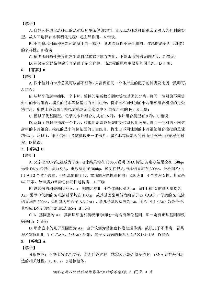 新八校生物答案(1)第3页