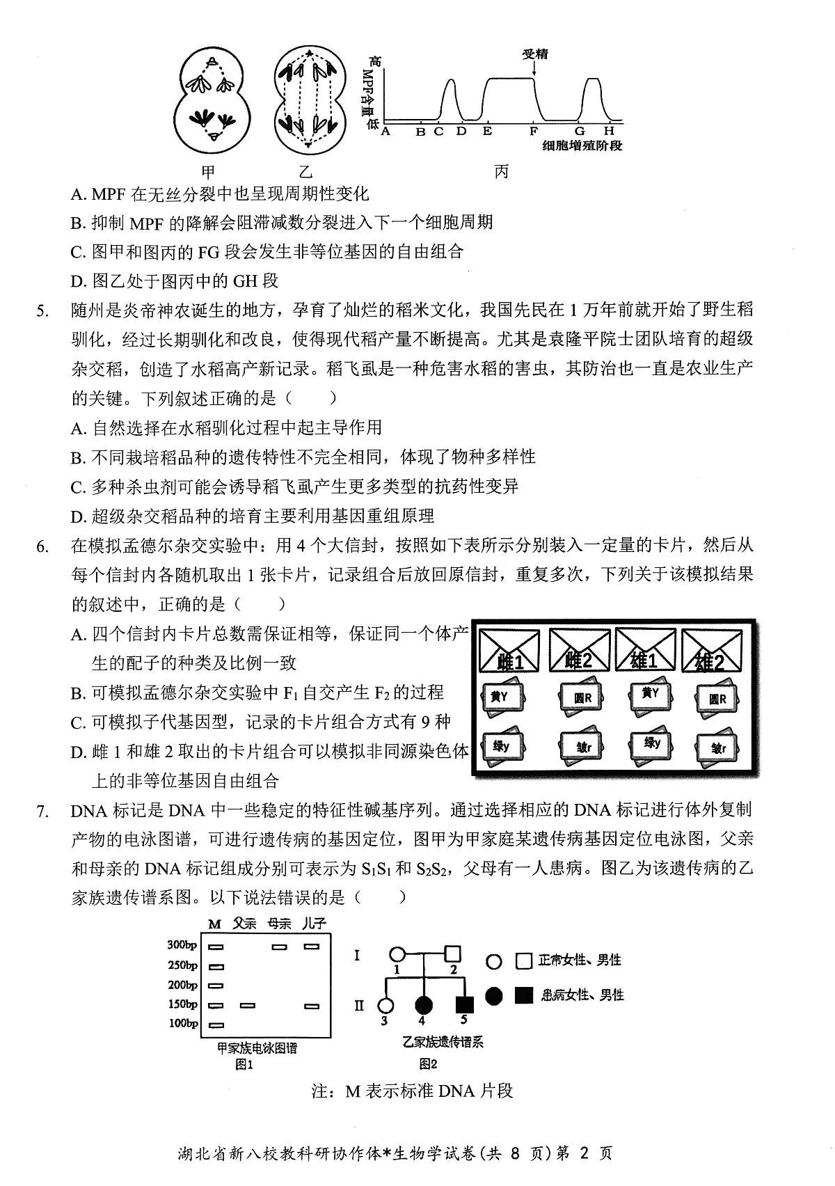 生物试卷第2页