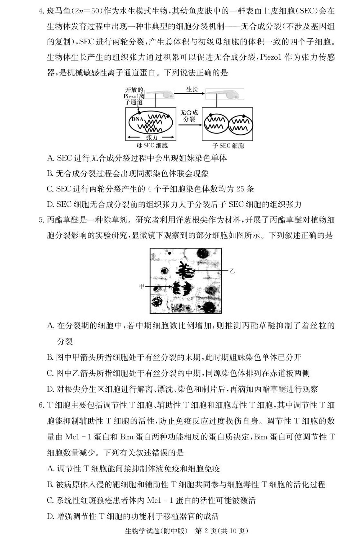 长沙市湖南师范大学附属中学2025-2026学年高三上学期10月月考生物试卷第2页