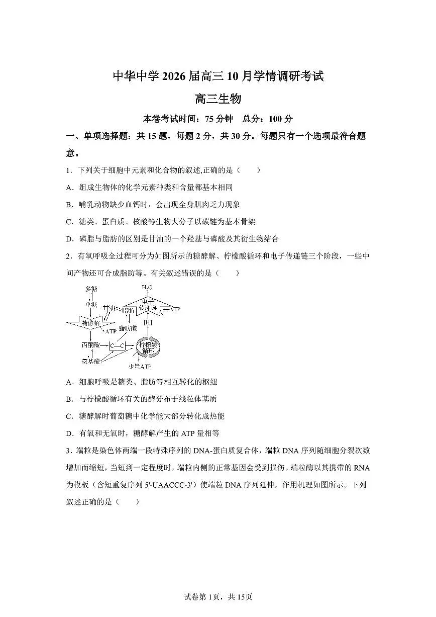 江苏省南京市中华中学2025-2026学年高三上学期10月月考生物试题(含答案)第1页