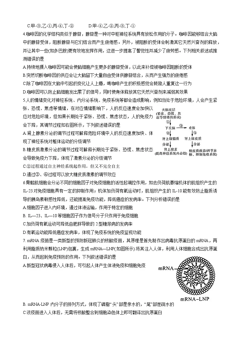 湖南省三湘名校教育联盟2023-2024学年高二上学期期中联考生物试题(含答案)第2页