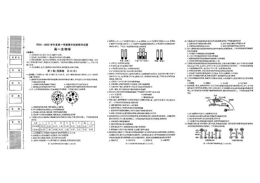 陕西省汉中市期中联考2024-2025学年高一上学期11月期中考试生物试卷含答案第1页