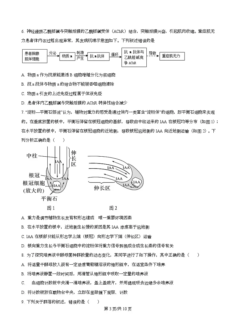 四川省成都市彭州中学2026届高三上学期10月月考生物试卷(原卷版)第3页