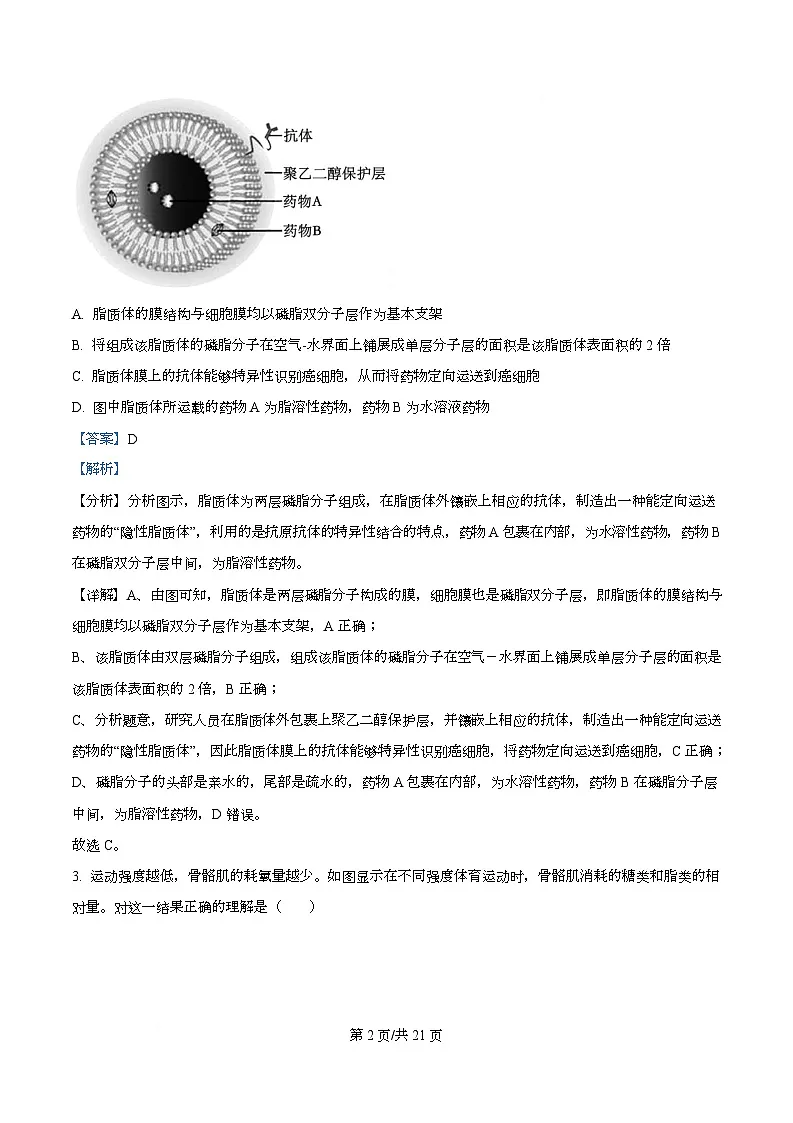四川省成都市彭州中学2026届高三上学期10月月考生物试卷 Word版含解析第2页