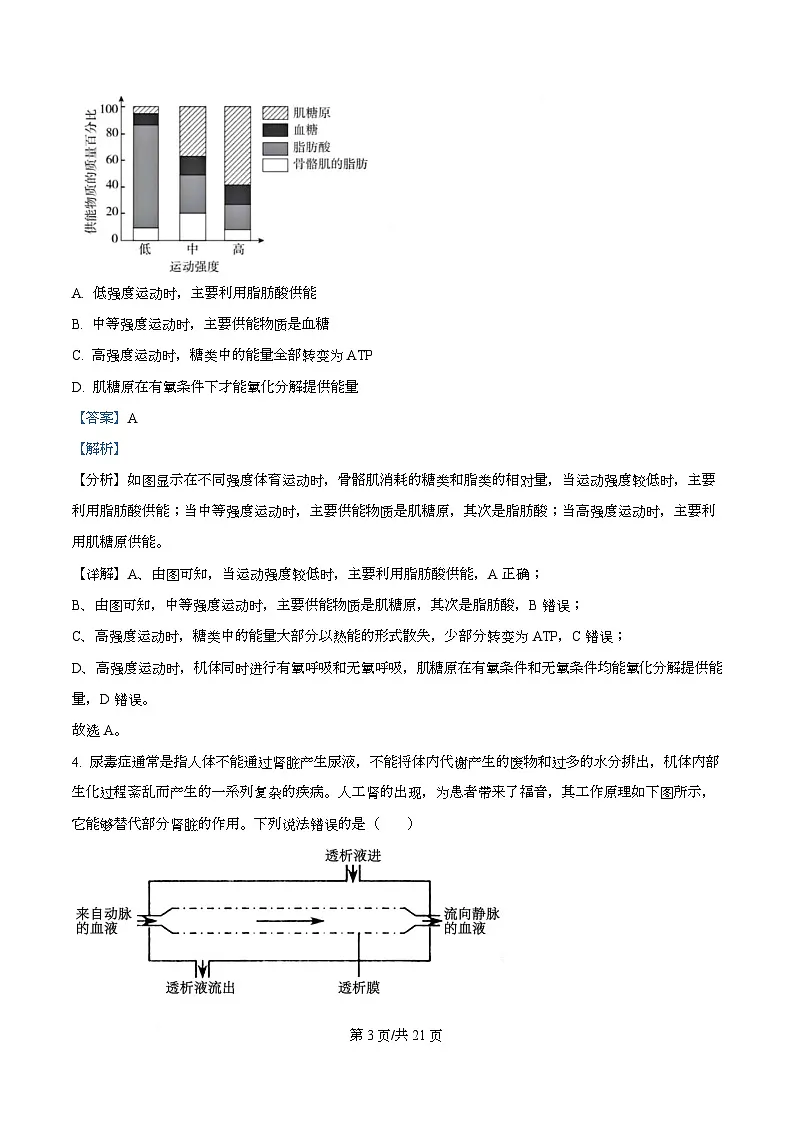 四川省成都市彭州中学2026届高三上学期10月月考生物试卷 Word版含解析第3页