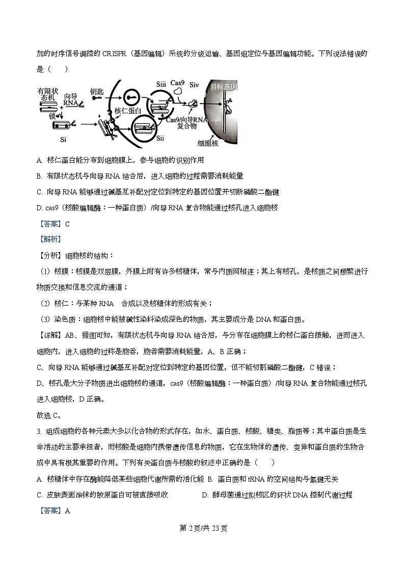 四川省成都市双流中学2026届高三上学期期中考试生物试题 Word版含解析第2页
