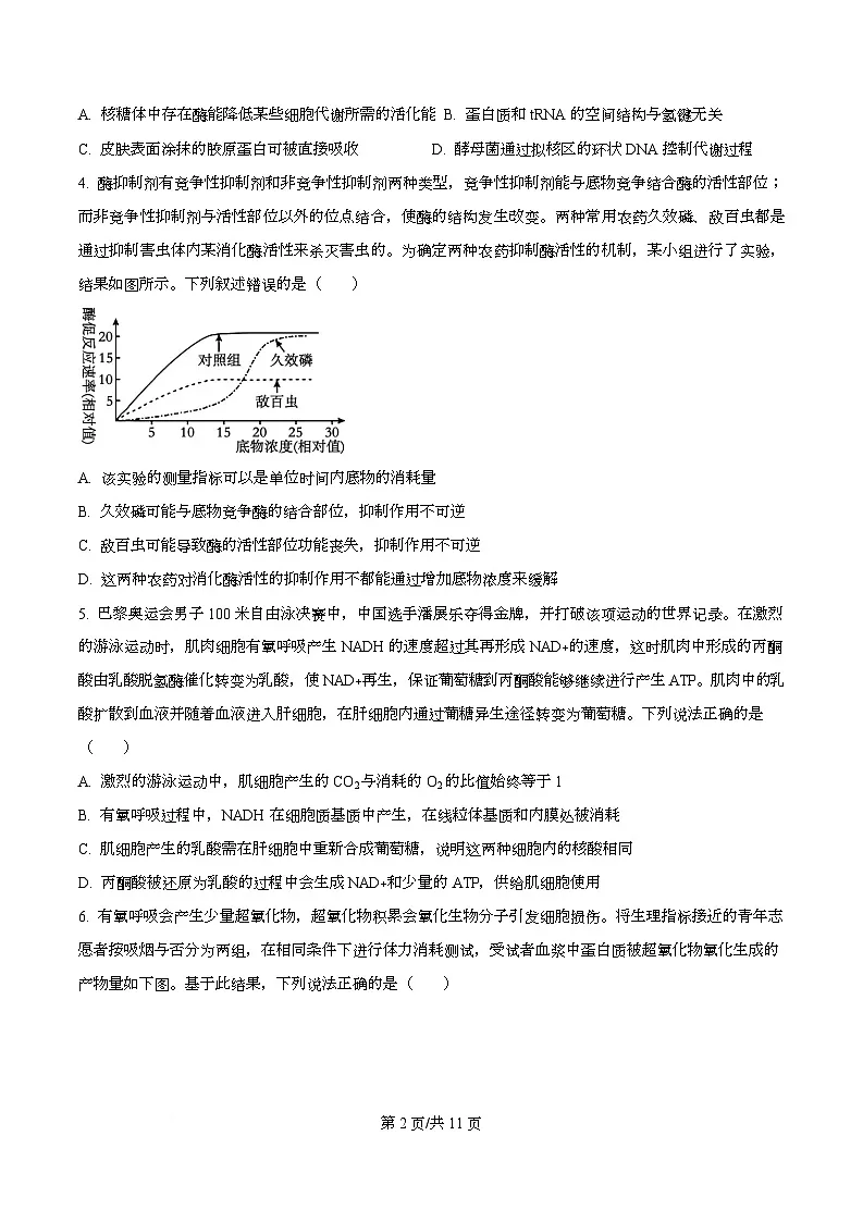 四川省成都市双流中学2026届高三上学期期中考试生物试题(原卷版)第2页