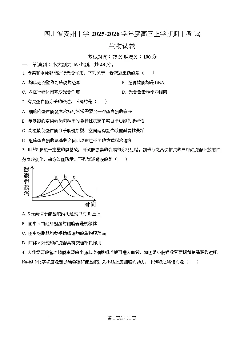 四川省绵阳市安州中学2026届高三上学期期中考试生物试卷(原卷版)第1页