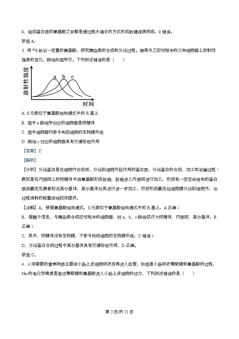 四川省绵阳市安州中学2026届高三上学期期中考试生物试卷 Word版含解析第2页