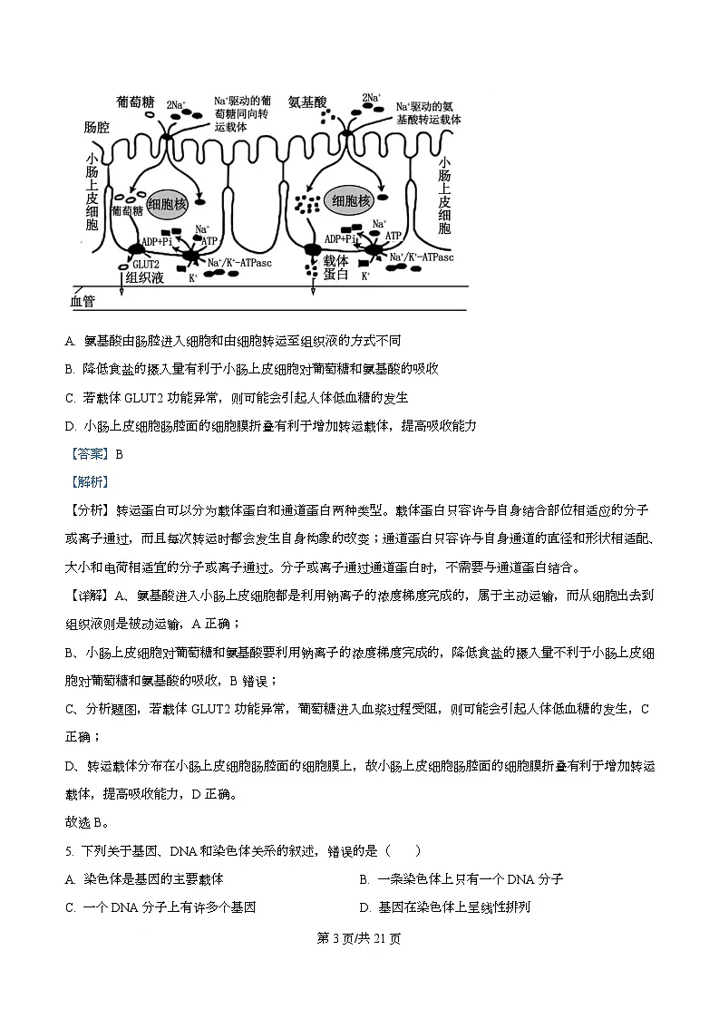 四川省绵阳市安州中学2026届高三上学期期中考试生物试卷 Word版含解析第3页