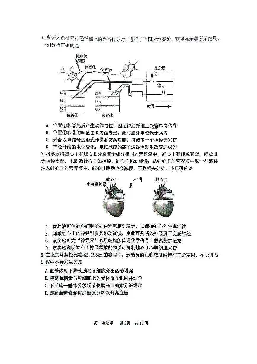 北京市丰台区2025-2026学年高二上学期期中生物试题第2页