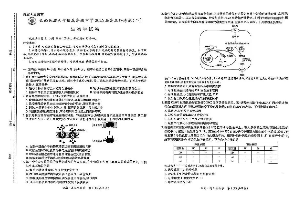 云南民族大学附属高级中学2026届高三联考卷(二)生物试卷(无答案)第1页