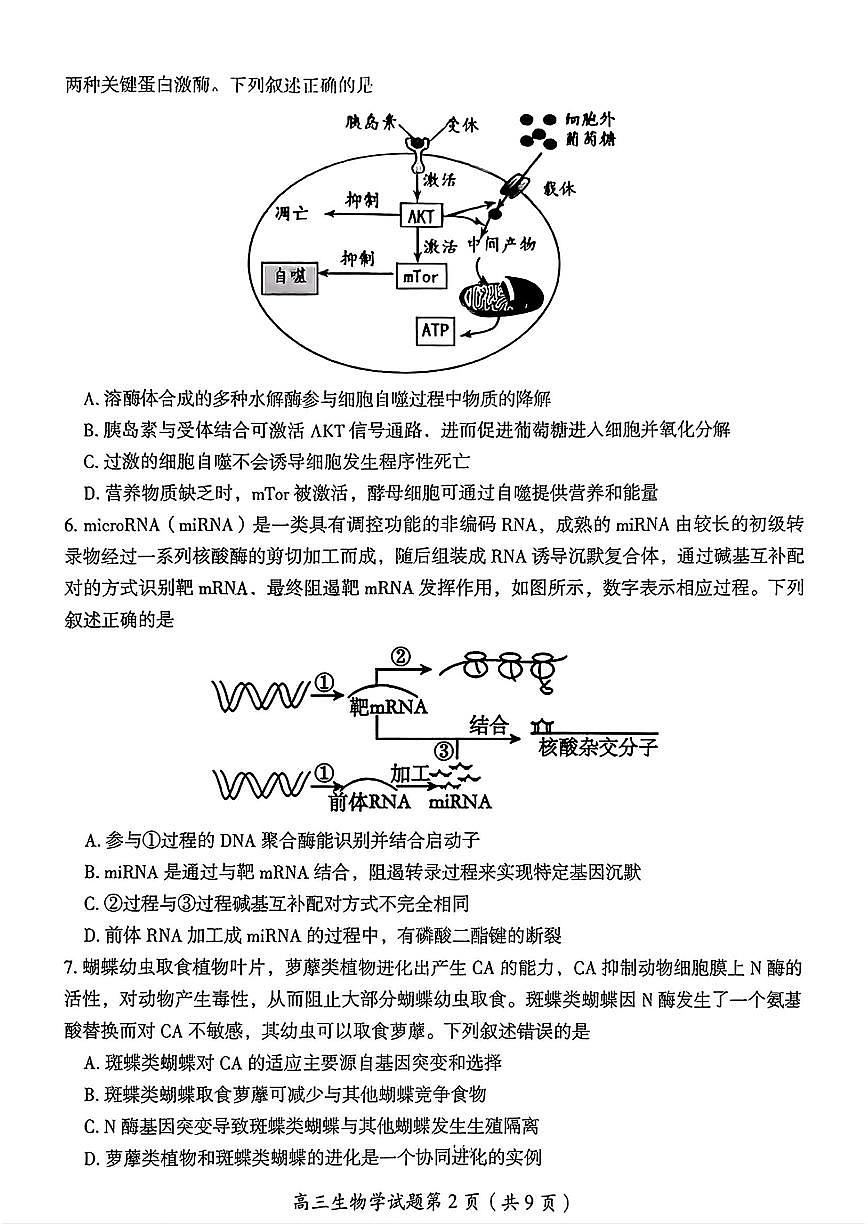 湖南省郴州市2026届高三上学期第一次教学质量监测生物试卷(PDF版附答案)第3页