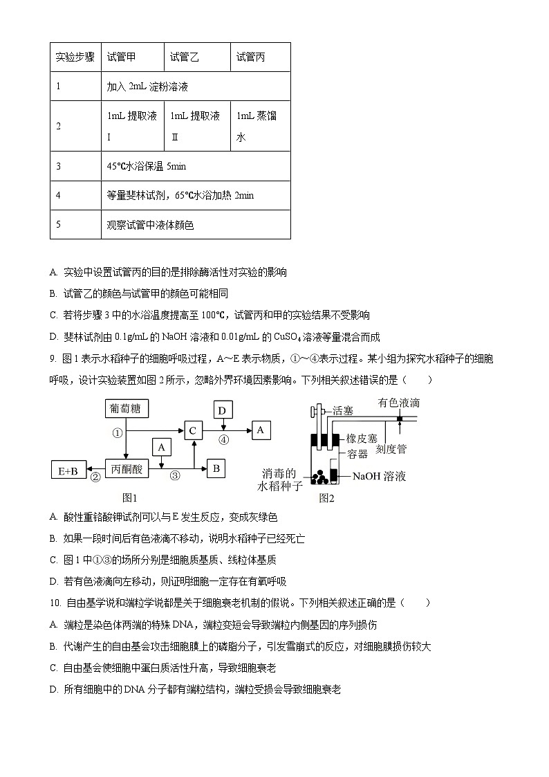 山西省晋城市部分学校2025-2026学年高三上学期10月质量检测生物试卷 Word版无答案第3页