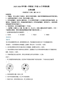山西省三重教育2025-2026学年高三上学期10月学情检测生物试卷（Word版附解析）