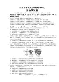 湖北省鄂东南教育联盟2025-2026学年高三上学期11月期中考试生物试卷（PDF版附解析）