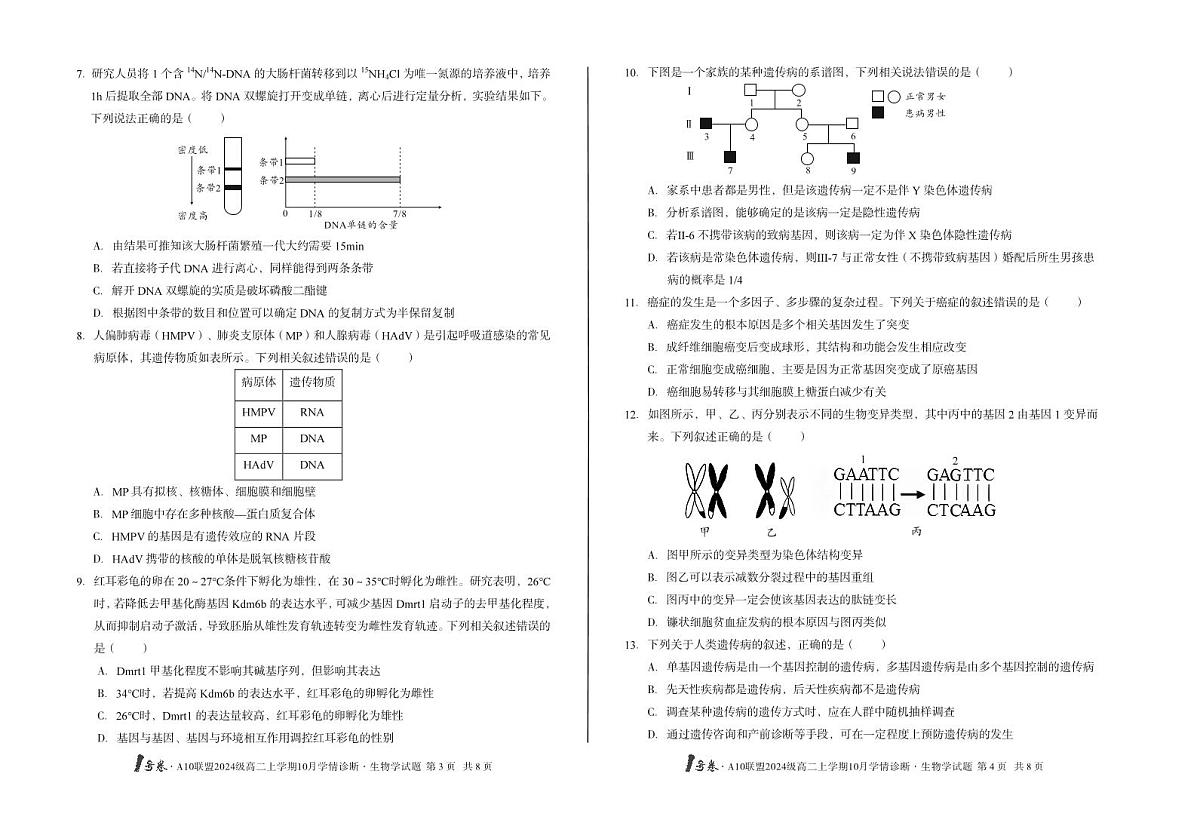 安徽省(C卷)1号卷A10联盟2024级高二上学期10月学情诊断生物学c第2页