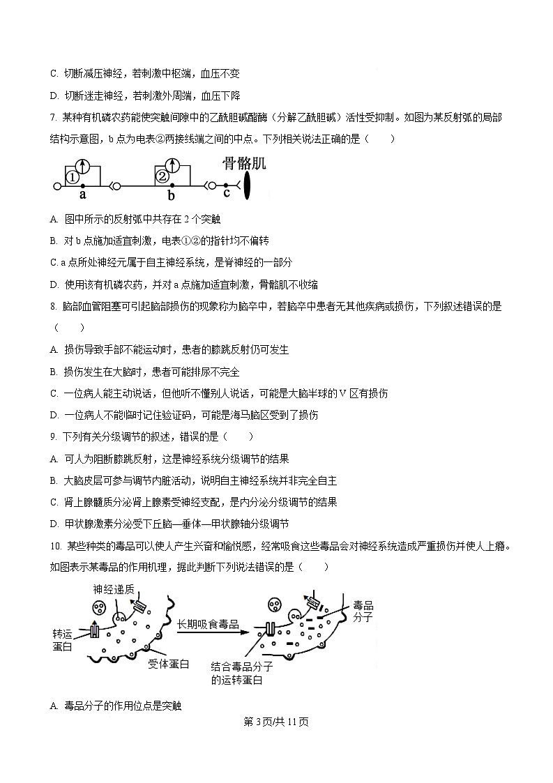 湖南省长沙市师大附中2025-2026学年高二上学期10月月考生物试卷第3页