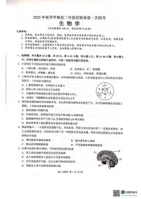 广西壮族自治区河池市十校联考2025-2026学年高二上学期10月月考生物试题含答案含答案解析