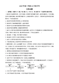 山东省济宁市第一中学2025-2026学年高二上学期10月月考生物试题含答案含答案解析