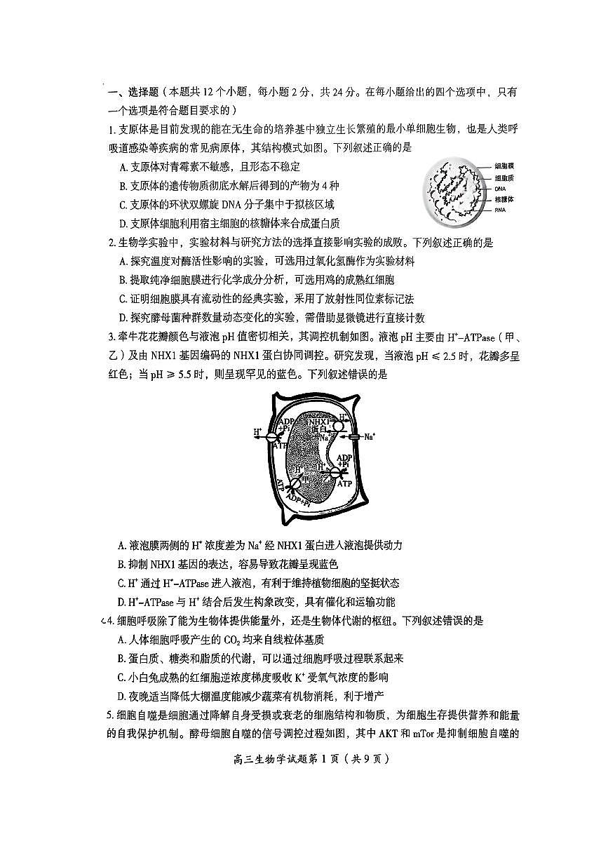 湖南省郴州市2026届高三上学期第一次教学质量监测生物试卷(月考)第2页