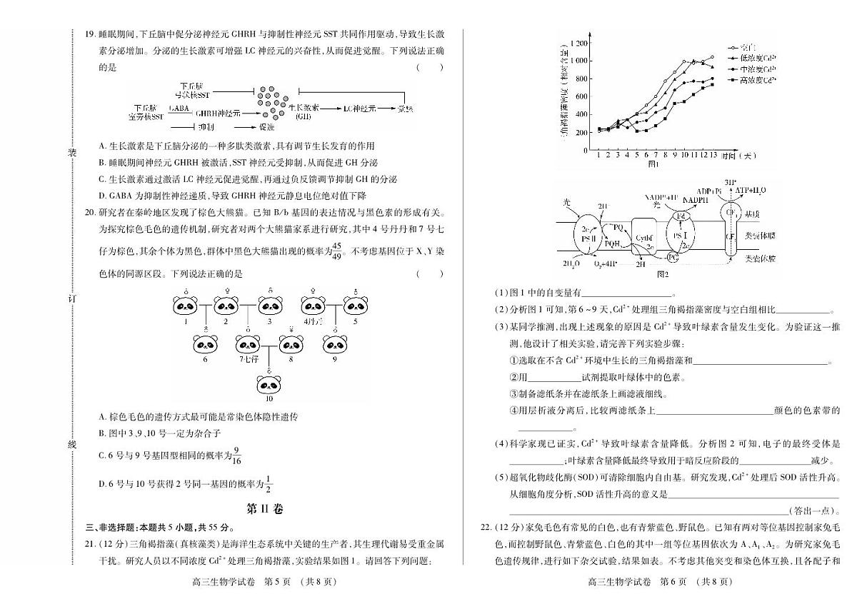 黑龙江省新时代高中教育联合体2026届高三上学期11月期中考 生物试卷+答案第3页