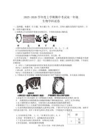 辽宁省大连市第24中学2025-2026学年第一学期高一生物期中试卷（含答案）