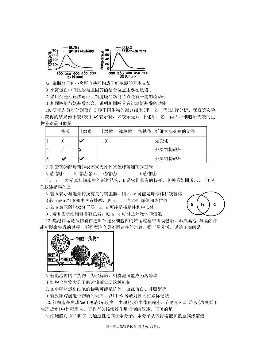 辽宁省大连市第24中学2025-2026学年第一学期高一生物期中试卷(含答案)第3页