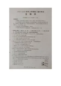 广西壮族自治区来宾市2025-2026学年高二上学期11月期中考试生物试卷