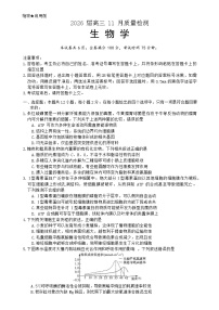 湖南省名校联盟联考2025-2026学年高三上学期11月月考生物试题
