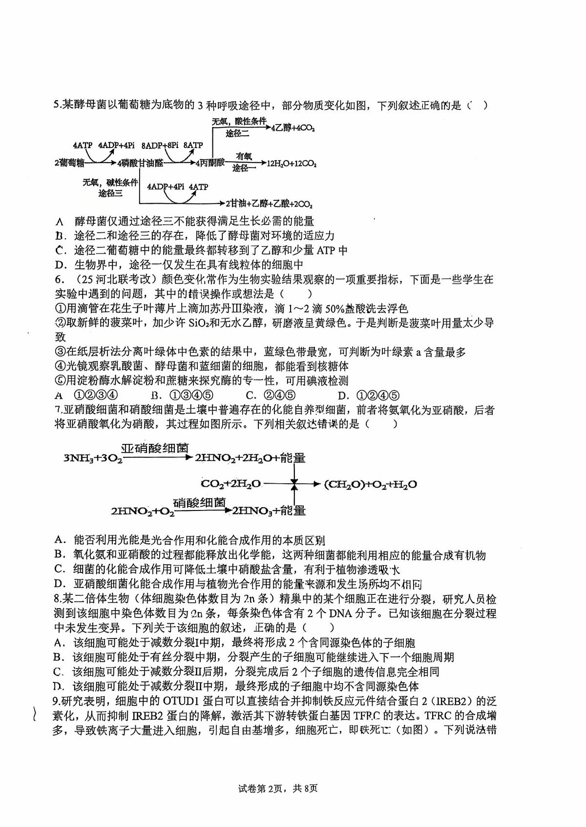 湖南省衡阳市雁峰区衡阳市第八中学2025-2026学年高三上学期11月期中生物试题第2页