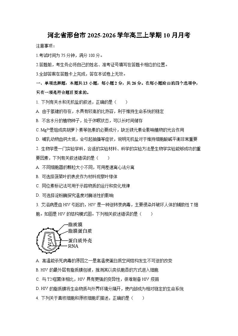 2025~2026学年河北省邢台市高三(上)10月月考生物试题(学生版)第1页