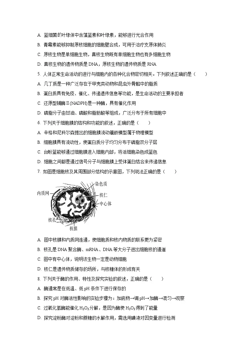 2025~2026学年河北省邢台市高三(上)10月月考生物试题(学生版)第2页