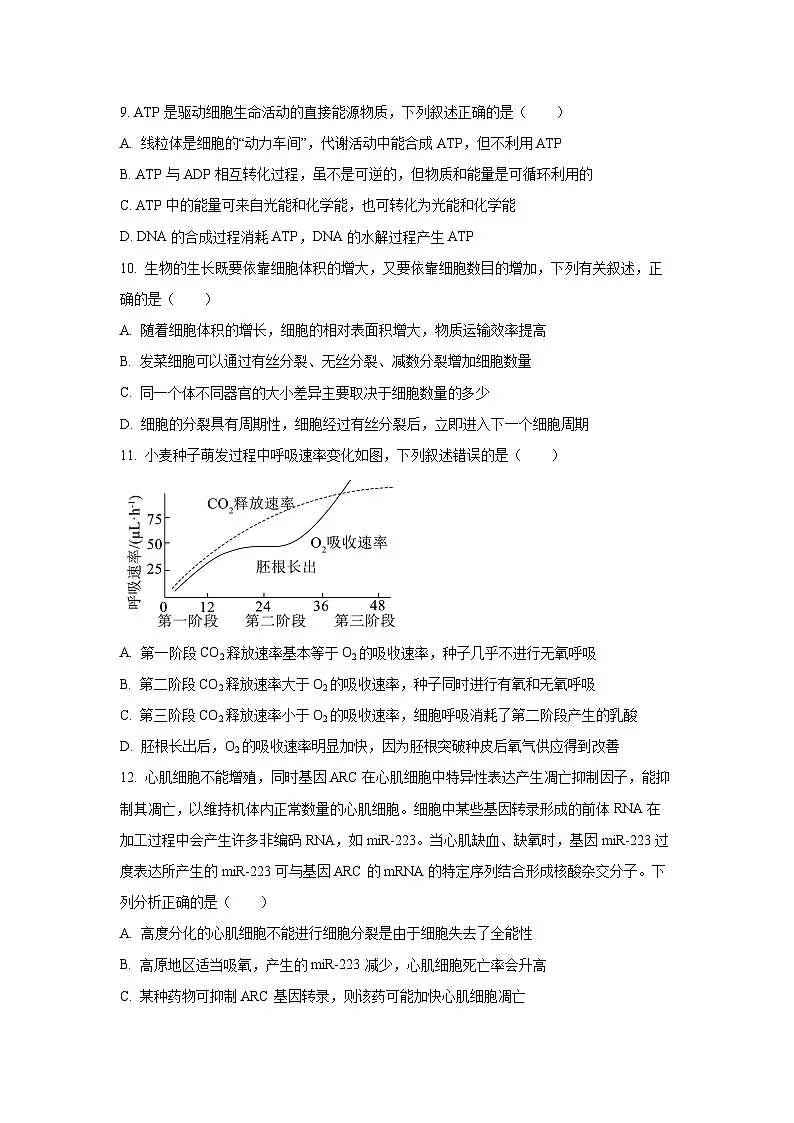 2025~2026学年河北省邢台市高三(上)10月月考生物试题(学生版)第3页