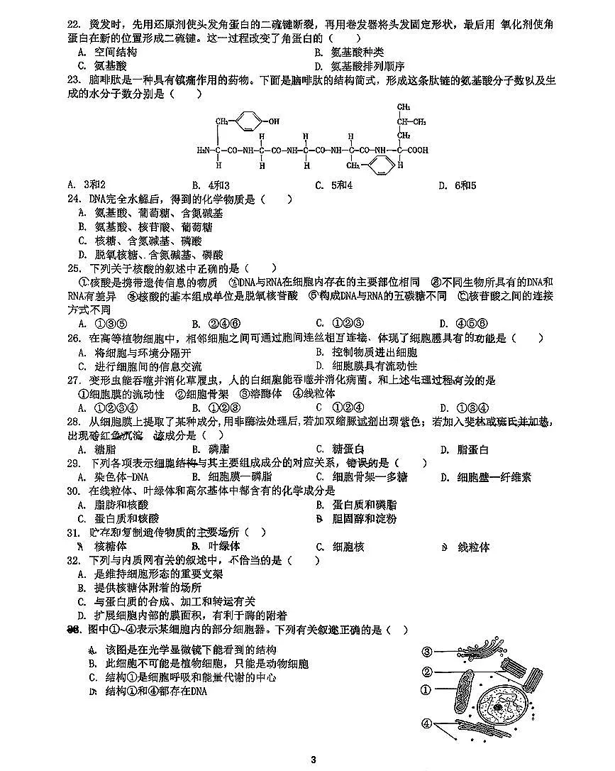 2025北京交大附中高一(上)期中生物试卷(教师版)第3页