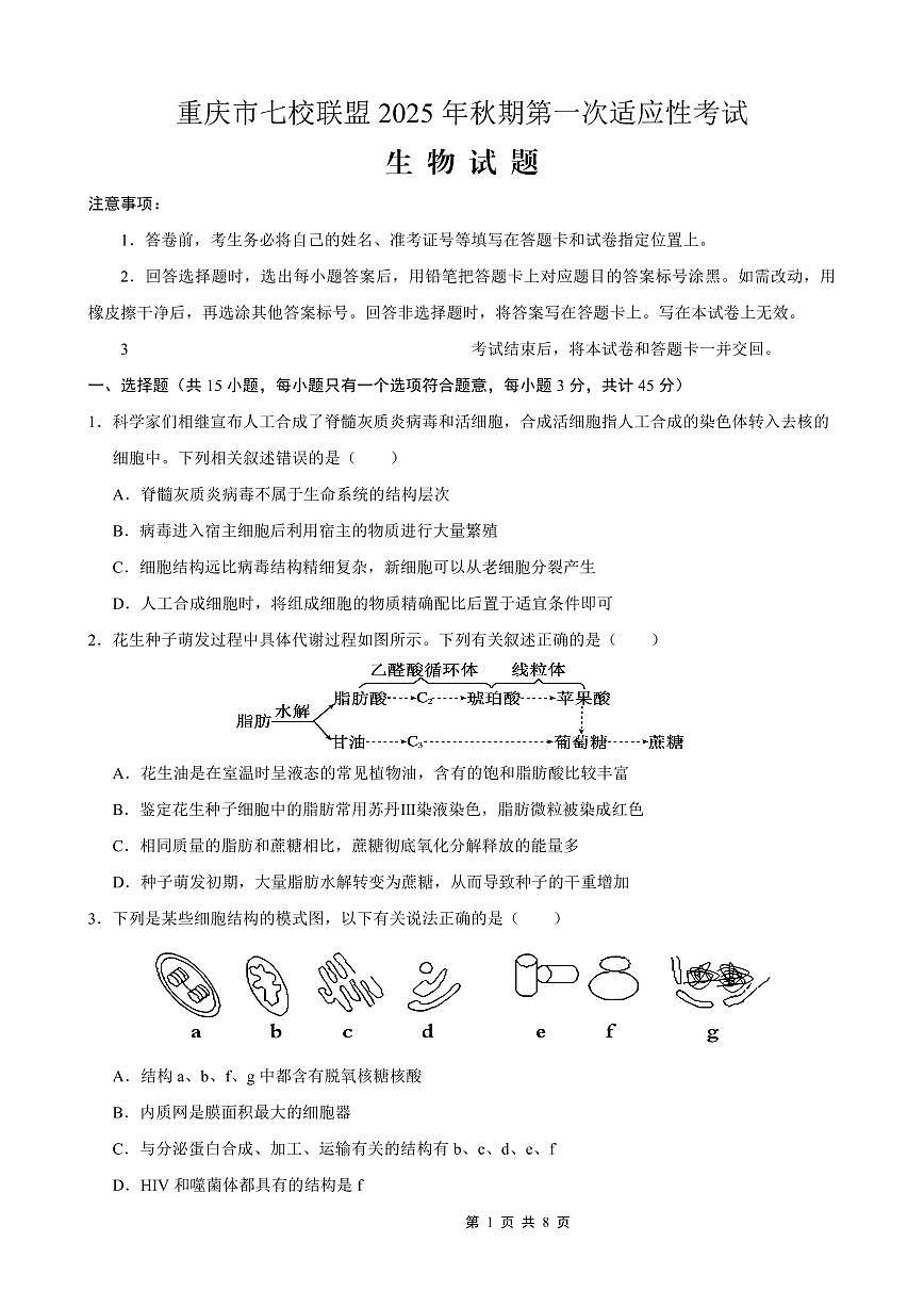 重庆市七校联盟2025年秋期高三上学期第一次适应性考试生物(无答案)第1页