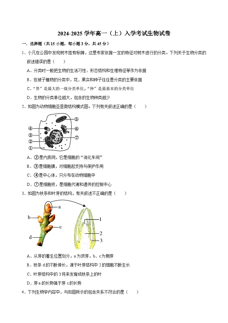 湖南省长沙市望城区第一中学2024-2025学年高一上学期开学生物试题第1页