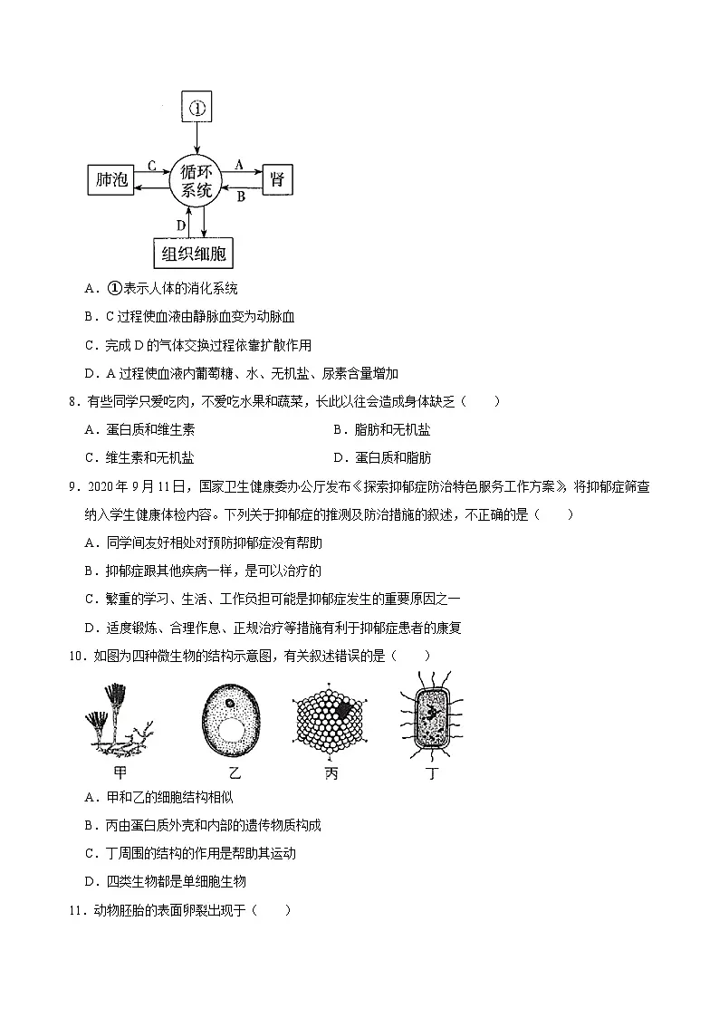 湖南省长沙市望城区第一中学2024-2025学年高一上学期开学生物试题第3页