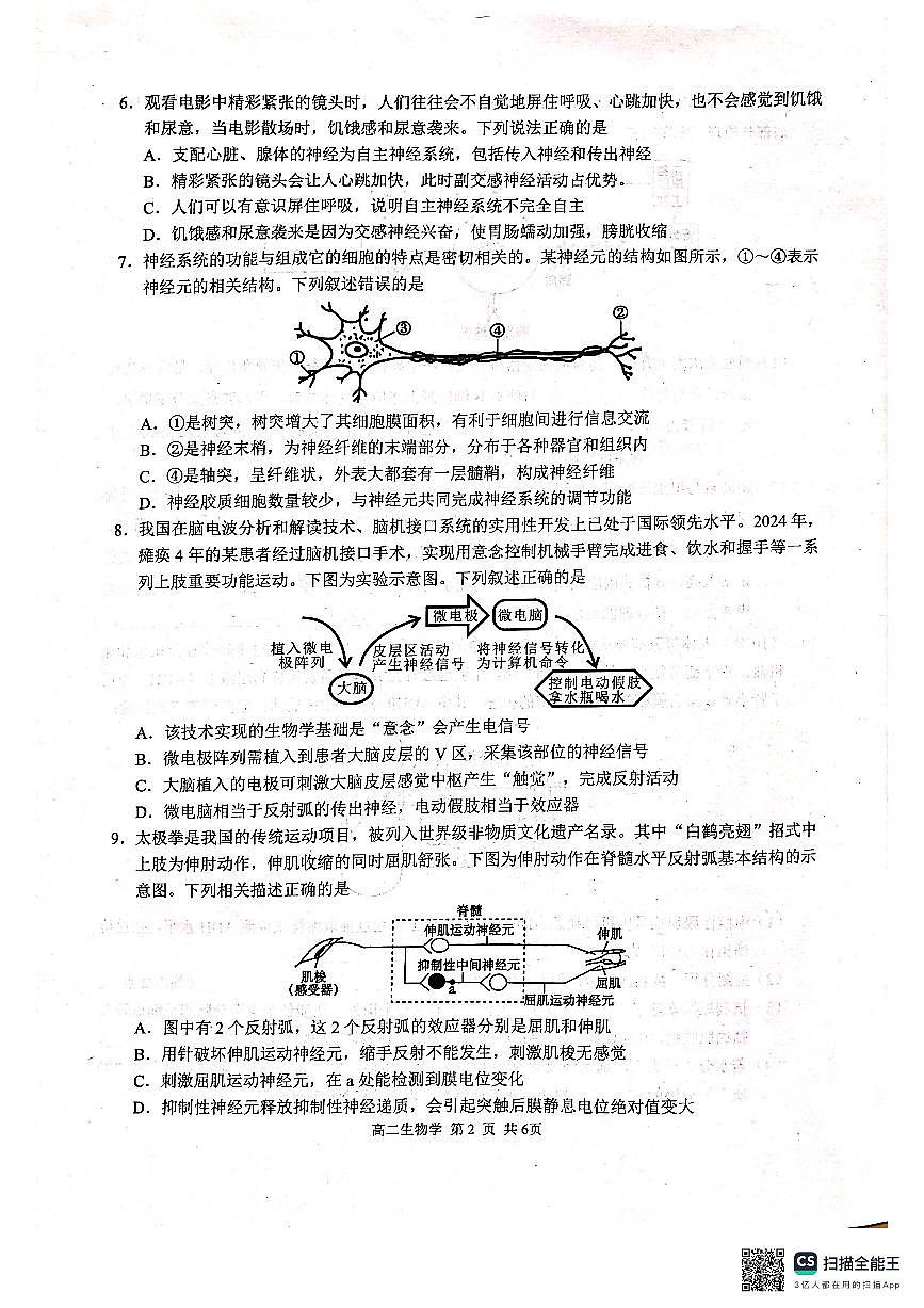 广西壮族自治区河池市十校联考2025-2026学年高二上学期10月月考生物试卷(含答案)第2页