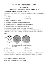 湖北省十堰市八校教联体2025-2026学年高二上学期11月联考生物试题（Word版附解析）