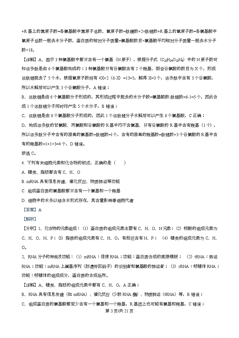 黑龙江省绥化市绥棱县第一中学2024-2025学年高三上学期11月月考生物试题 Word版含解析第3页