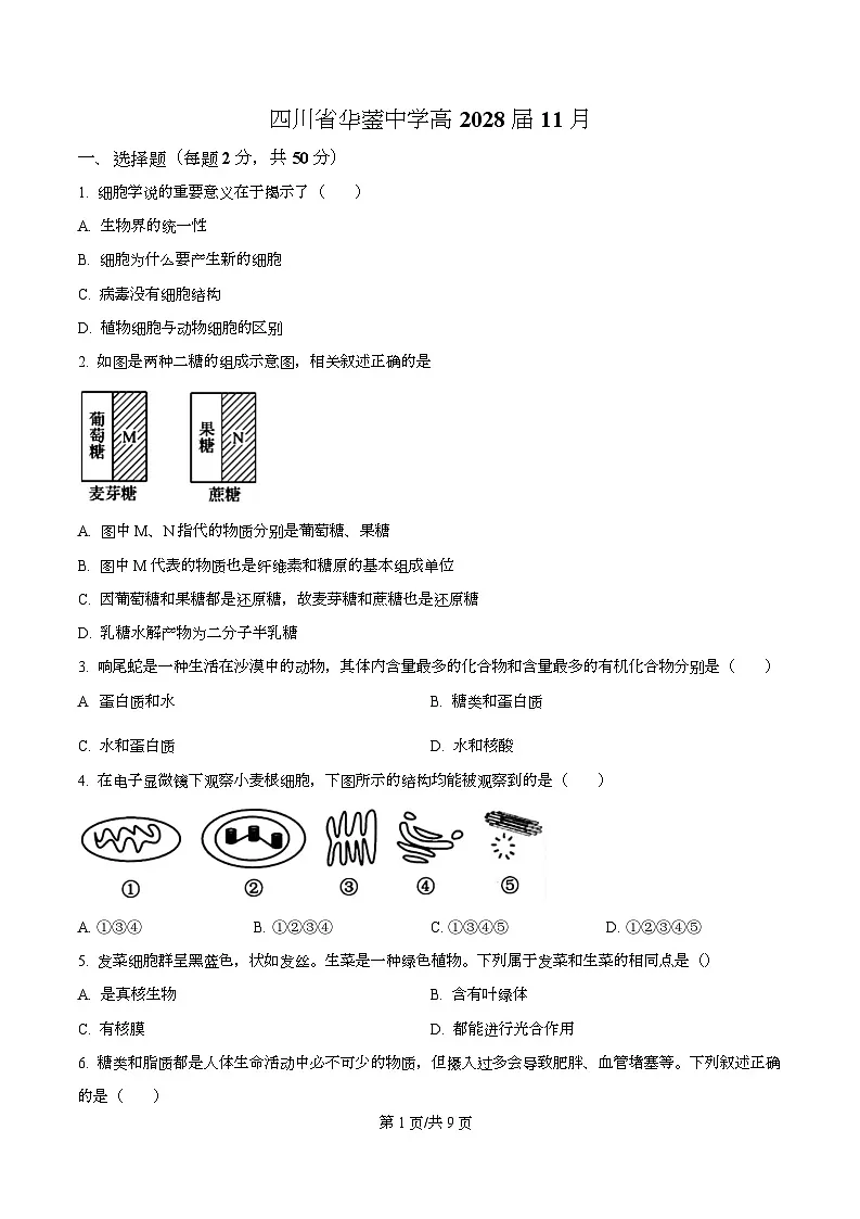 四川省华蓥中学2025-2026学年高一上学期11月期中生物试题(原卷版)第1页